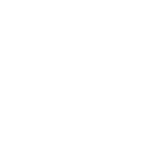 Privacy Partitions